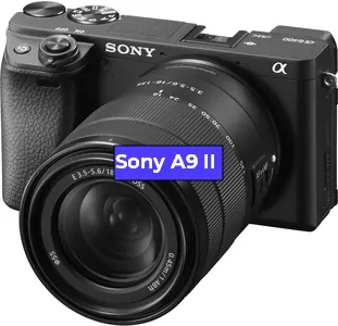 Замена дисплея на фотоаппарате Sony A9 II в Санкт-Петербурге